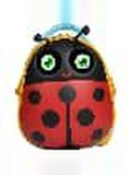 The Ruby Ladybird