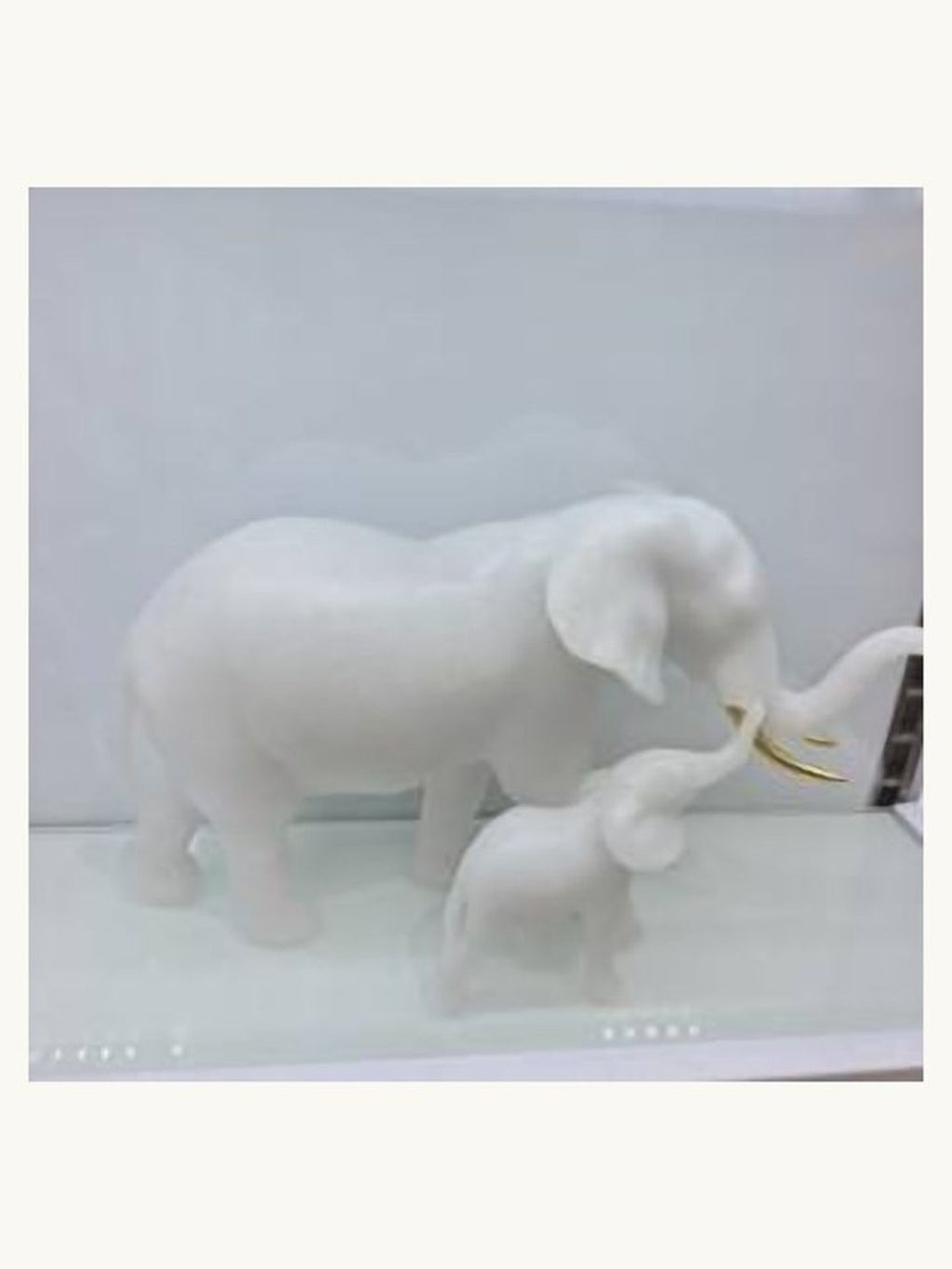 The Cherished Calf