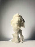 The Regale Lion