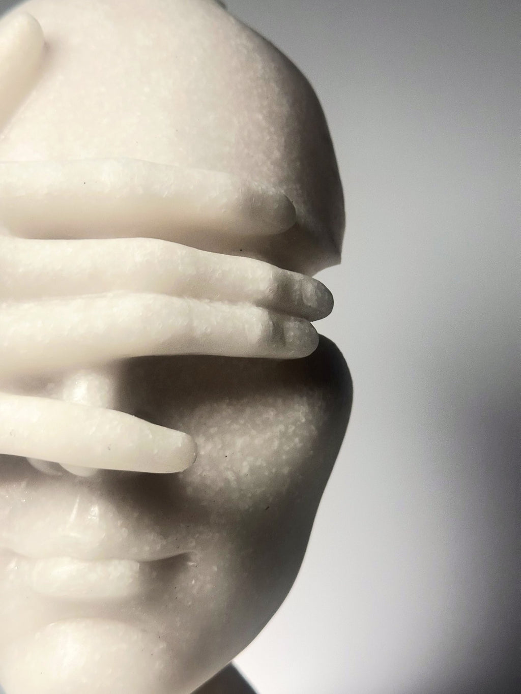 The Velata Visage in Silver