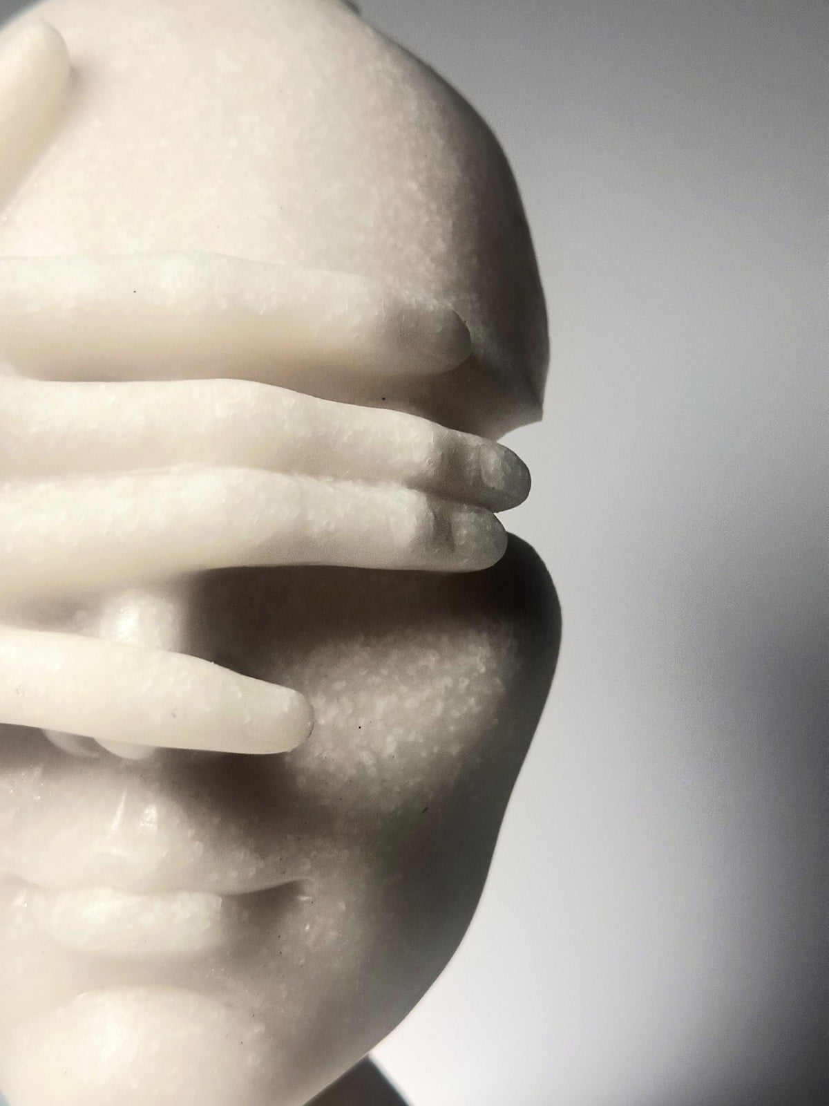 The Velata Visage in Silver