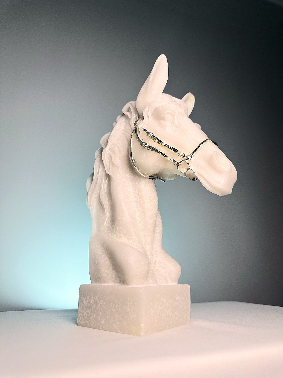 The Cavaliere Stallion