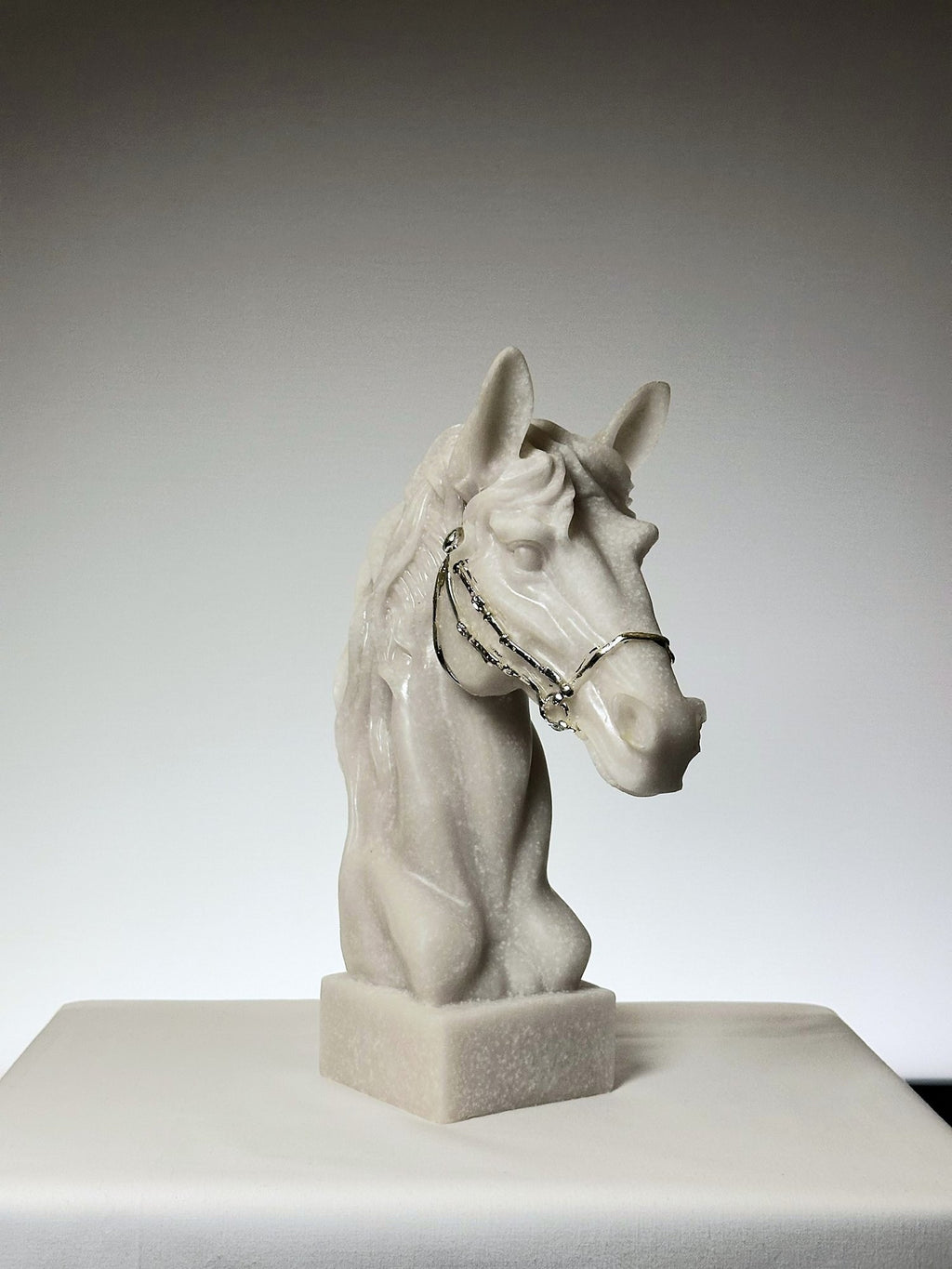 The Cavaliere Stallion