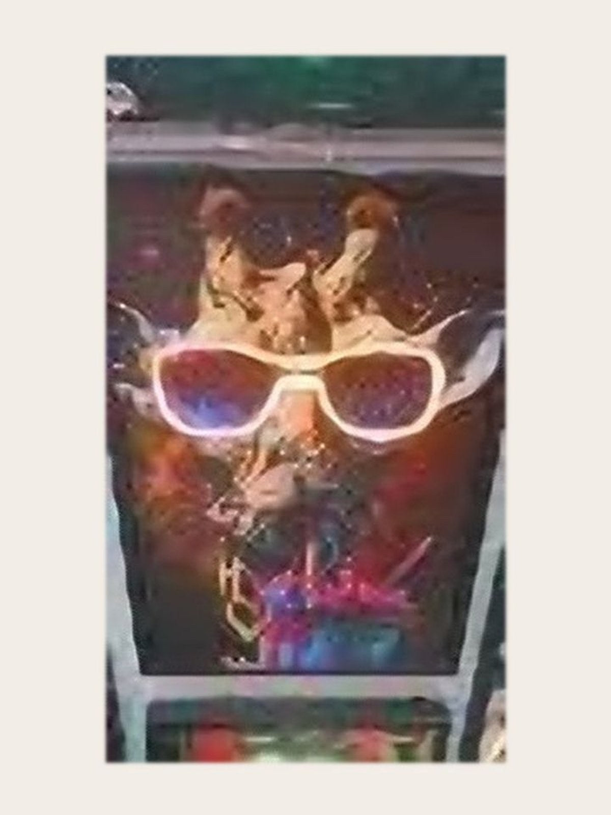The Rebelle Shades