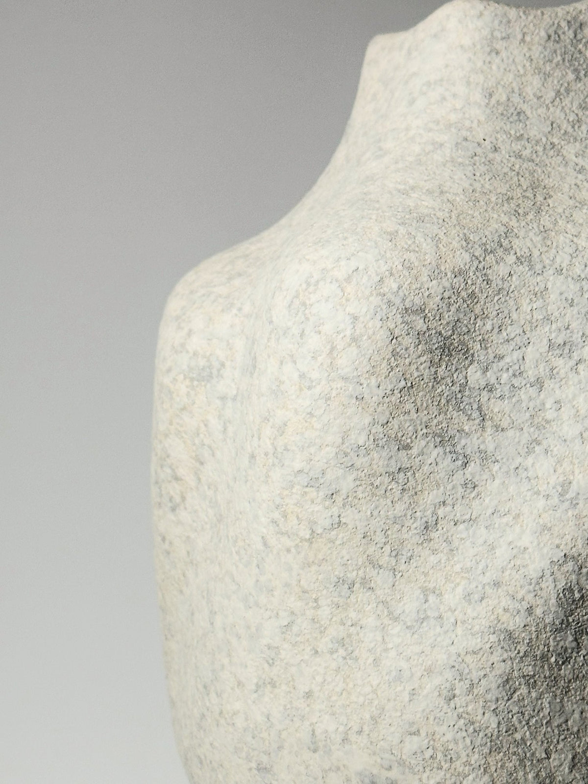 Grand Vénus Torso