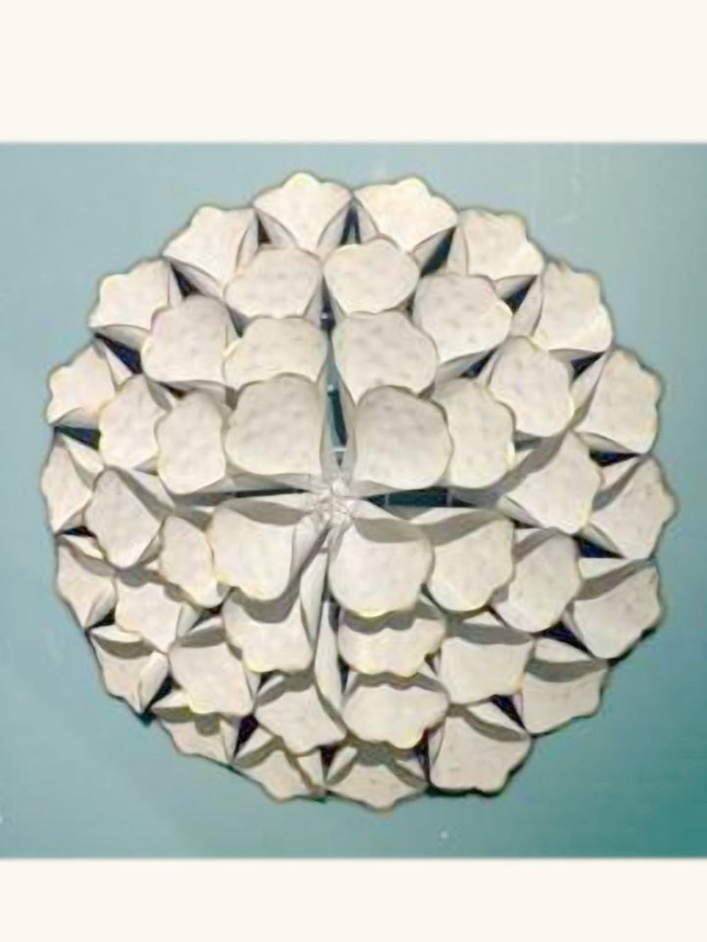 Pétale Medallion