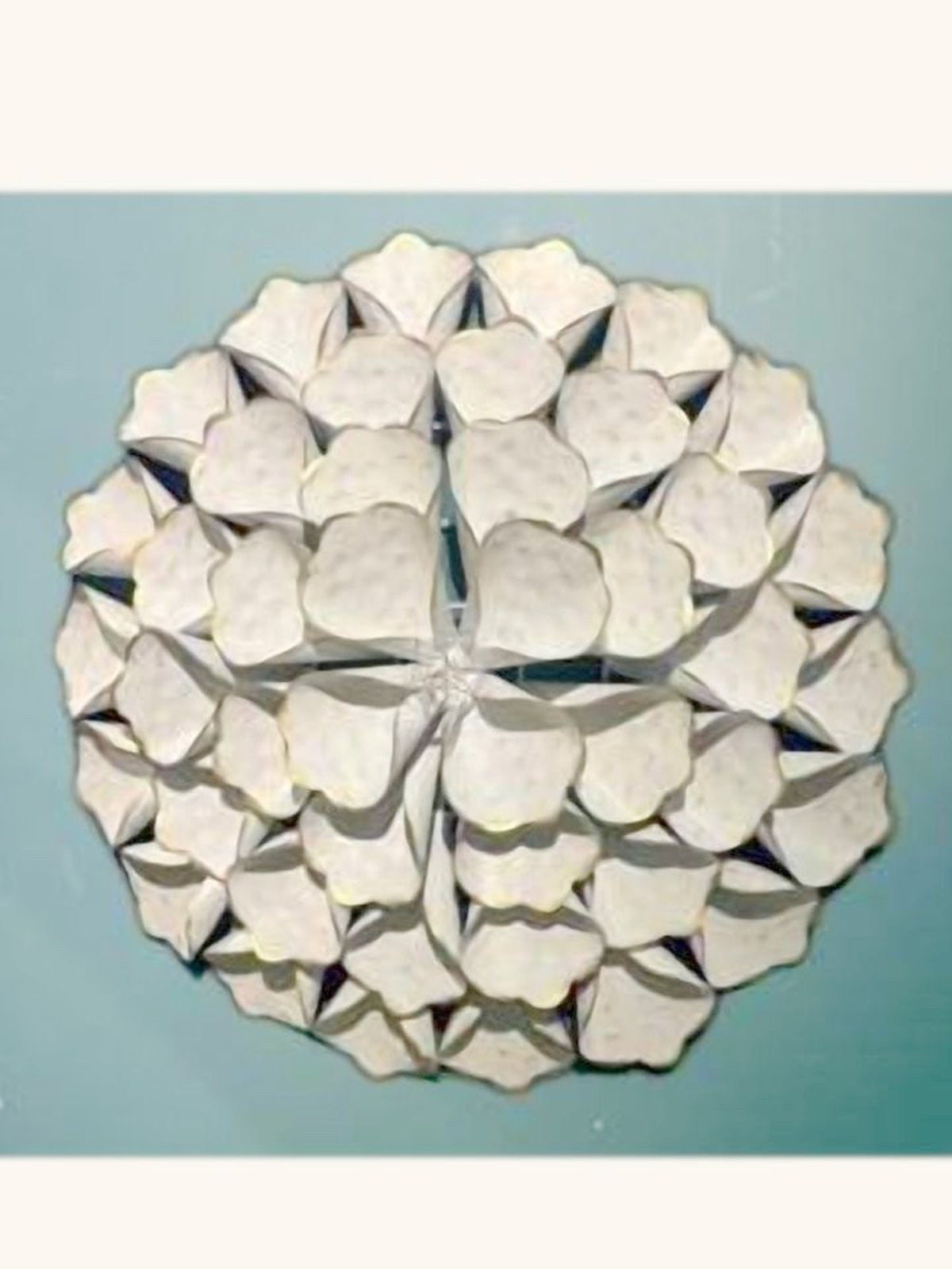 Pétale Medallion
