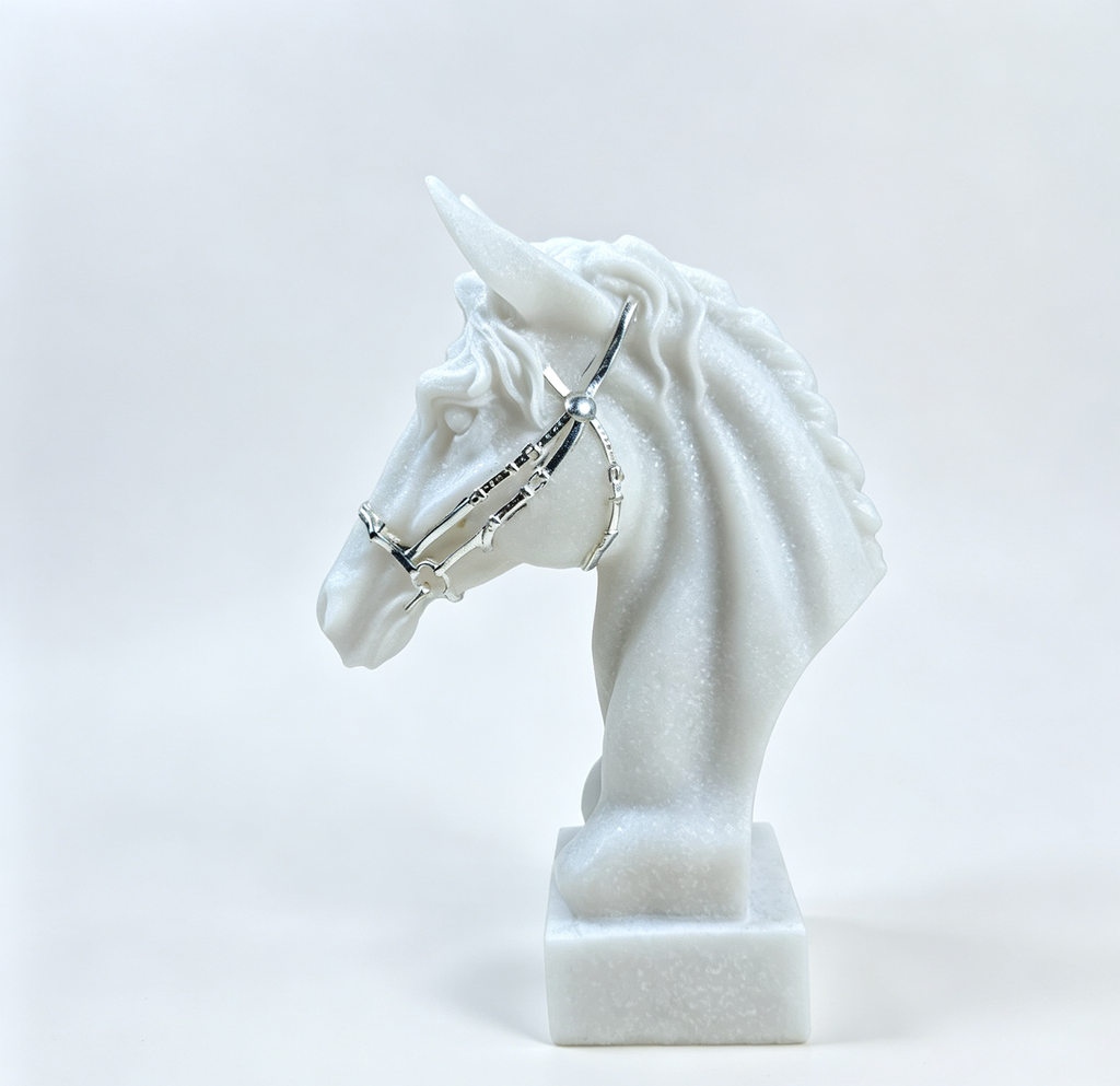The Cavaliere Stallion (concept image)